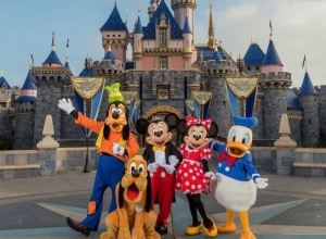 Mickey and Friends Character Training Tapes