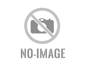 Stories of Uncle Remus 3907